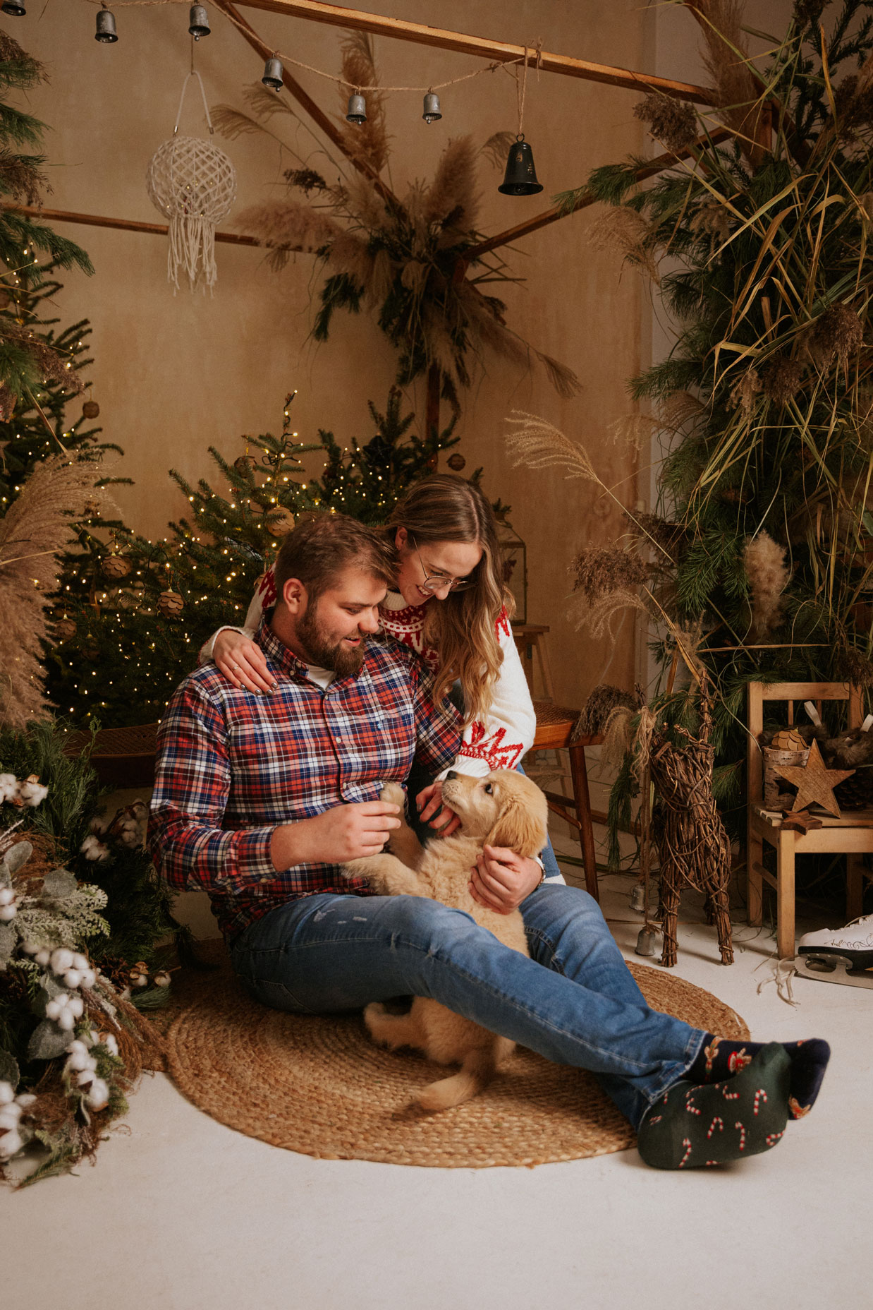 sesja świąteczna w z psem w studio fotograficznym w Poznaniu