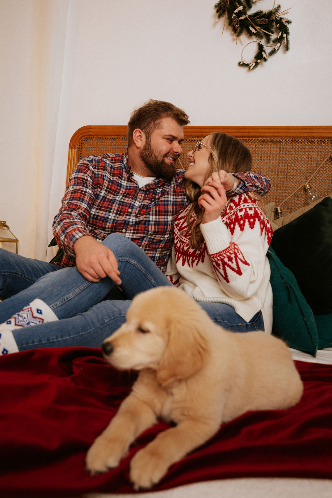 sesja świąteczna w z psem w studio fotograficznym w Poznaniu